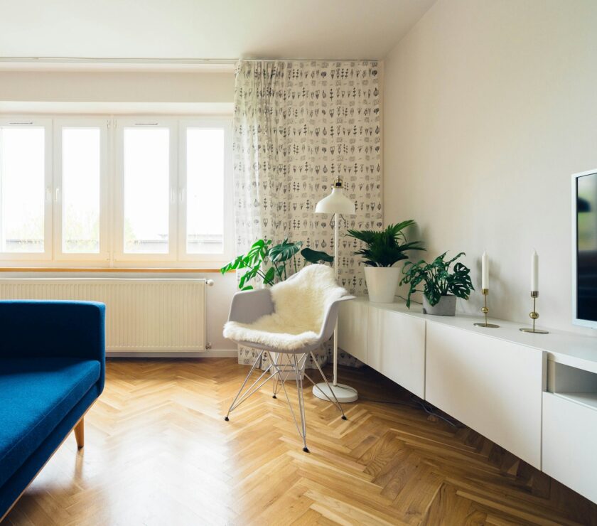 Business plan investissement immobilier
