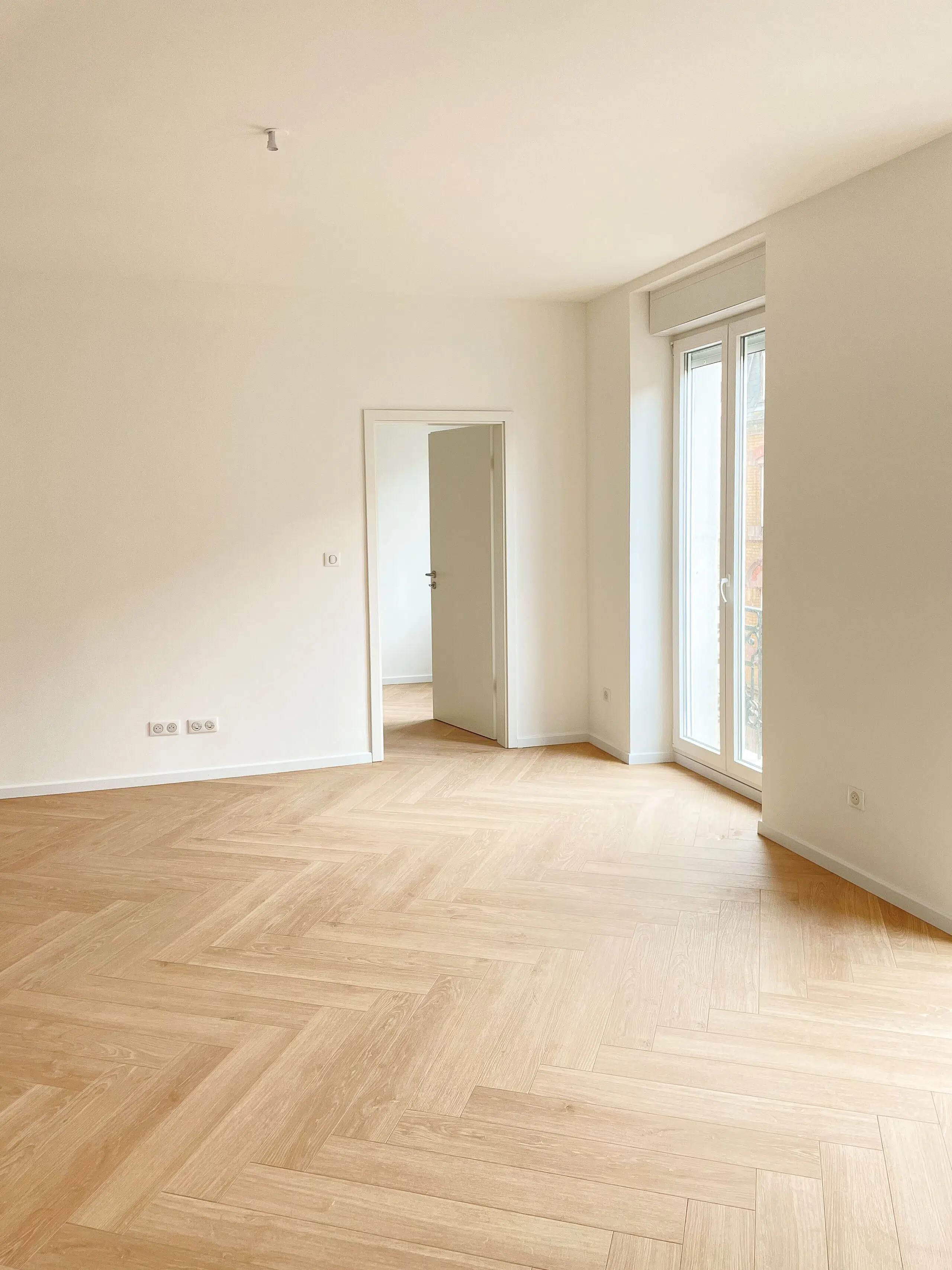 Séjour lumineux, appartement rénové à Mulhouse